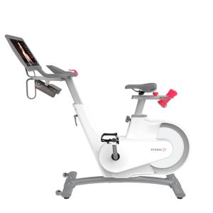 Купить Велотренажер Yesoul BV1-W PLUS в Ужуре 