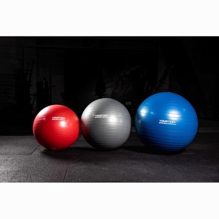 Купить Гимнастический мяч Yousteel Hard 65см в Ужуре 